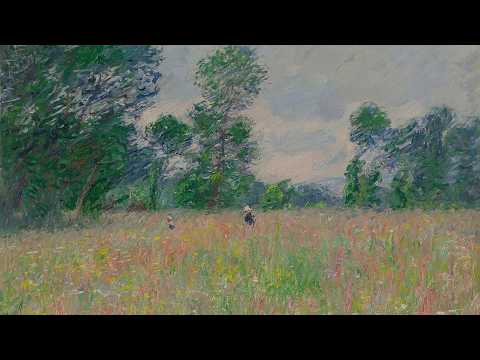 a playlist for reflective moments spent in the peaceful warmth of the sun