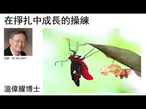 在掙扎中成長的操練   溫偉耀博士