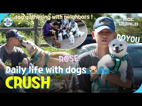 [C.C] Who's the precious being who always brings Joy to Crush?💗 #CRUSH