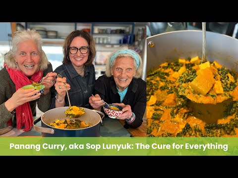 Panang Curry, aka Sop Lunyuk: The Cure for Everything