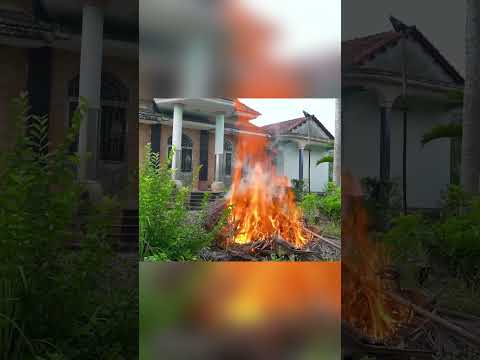 We TRY to control the fire | Clean up Everything