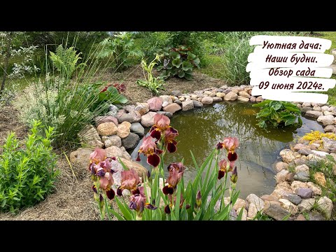 Уютная дача: Наши будни. Обзор сада 09 июня 2024г.