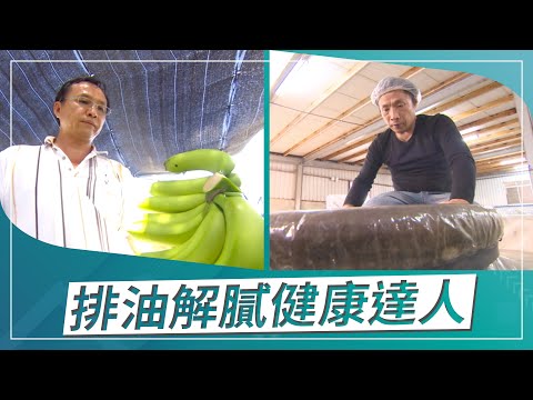 草地狀元-排油解膩健康達人-再現奇蹟精品蕉王VS失傳絕學純釀醋王(2019.09.16播出)