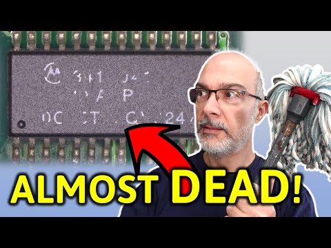 I saved this Macintosh by a hair's breadth!