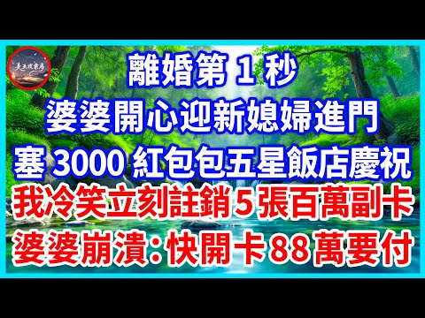 離婚第1秒，婆婆開心迎新媳婦進門，塞3000紅包包五星飯店慶祝，我冷笑立刻註銷5張百萬副卡，婆婆崩潰：快開卡88萬要付！#為人處世 #生活經驗 #情感故事 #故事 #小說 #戀愛 #情感 #婚姻