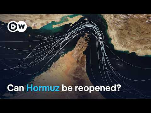 Can US allies reopen the Strait of Hormuz without military force, or US help? | DW News