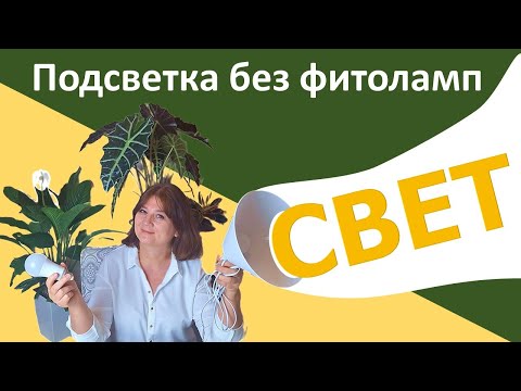 Свет для растений. Светодиодная лампа для подсветки цветов - что учесть. DIY светильника