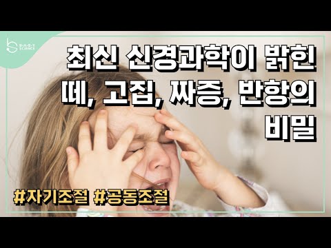 이걸 이해하면 신기하게 아이에게 화가 안 납니다.