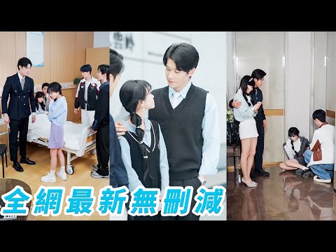 After crash, 4 bros saved fake sis only. She cut ties, thrived, now CEO's darling, now they beg