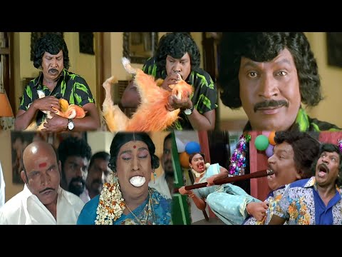 Tommy எழுந்திருச்சிரூ , என்ன தல தொங்கிருச்சி | வாயில உலக்கையை விட்டு ஆட்டமா விடமாட்டேன் #vadivelu