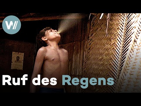 Der Regenmacher von Papua-Neuguinea | Geschichten von Anderswo