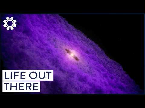 Inside NASA's Hunt for Life Beyond Earth