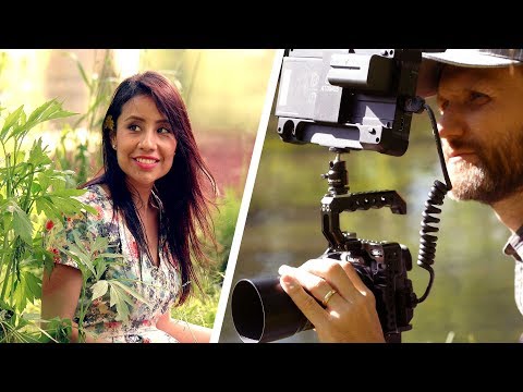 GH5 Review! My rig, lenses & custom settings