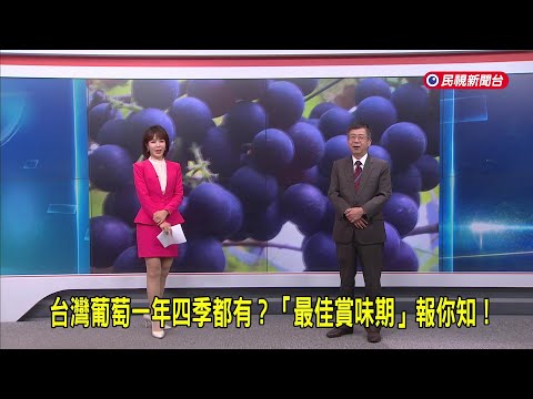 2025/12/18【早安嘉芬】台灣葡萄一年四季都有？「最佳賞味期」報你知！－民視新聞