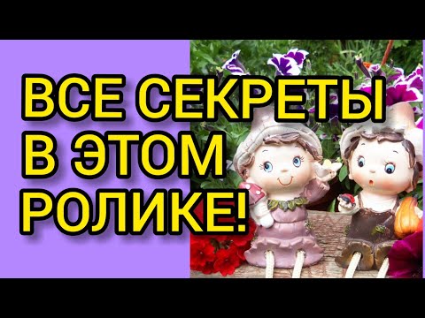 ПЕТУНИЯ по дням!//Все секреты от А до Я!