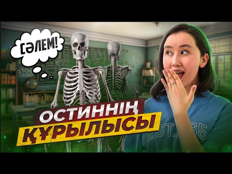 Остиннің құрылысы | ҰБТ2026 биология