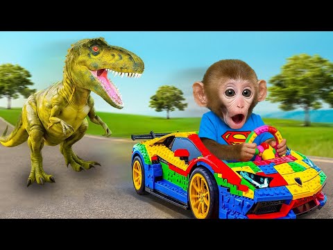 小猴子 BonBon 揭開恐龍蛋的驚人秘密 – BonBon 台灣