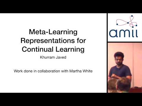 The Tea Time Talks: Khurram Javed, Meta-Learning Representations for Continual Learning (June 17)