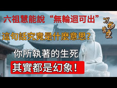 六祖慧能說“無輪迴可出”，這句話究竟是什麼意思？你所執著的生死，其實都是幻象！佛教#信仰#修行|人生 |金剛經|南無阿彌陀佛#佛家 #大悲咒#修行#大悲咒 #智慧#哲學#因果#冥想#达摩