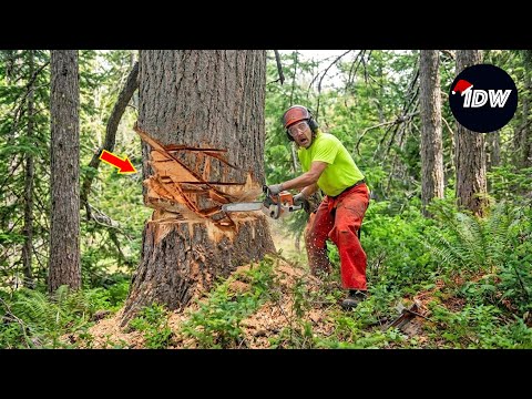 TOTAL IDIOTS AT WORK #786 | Instant Regret Fails Compilation 2025 | Best of the Week