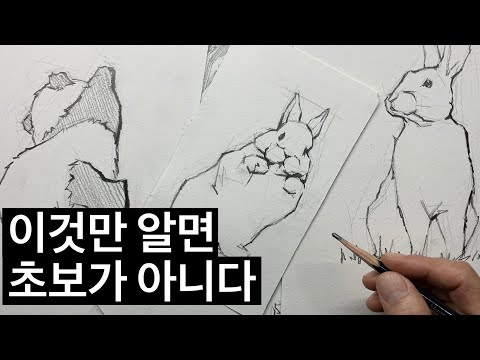 Simple Sketch How to Escape Beginner (Sketch Using Straight Line)