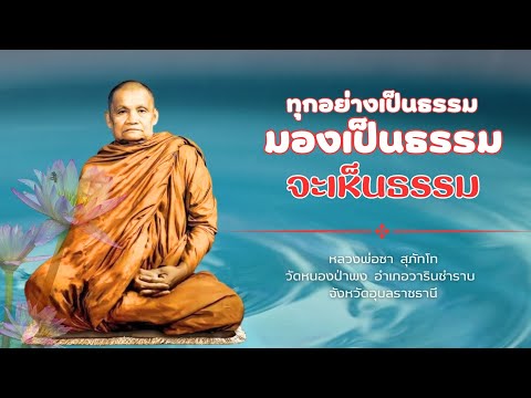 ทุกอย่างเป็นธรรม มองเป็นธรรม มองเห็นธรรม : หลวงพ่อชา สุภัทโท