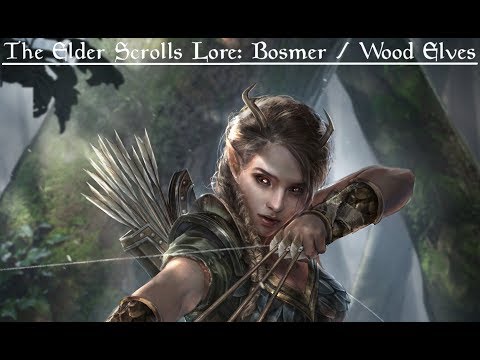 The Elder Scrolls Lore: The Bosmer | Wood Elves