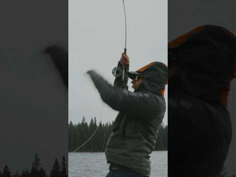 BOBBER DOWN!!! #fishing #troutfishing #flyfishing