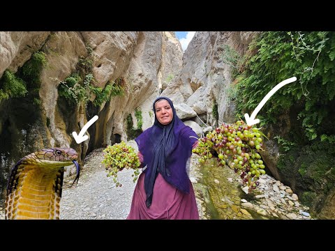 🏔️🔥Kulthum's dangerous adventure in the mountains:From the grape tree to encountering wild snakes🐍🍇