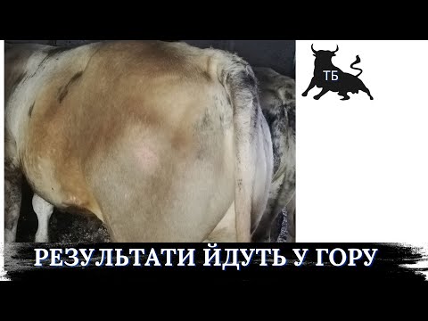 №13. Результати замірів приростів за серпень.
