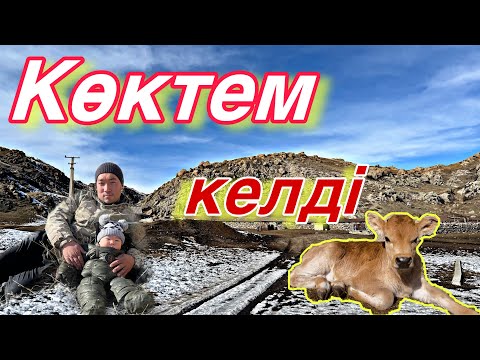 Мал төлдеп, көктем ерте кележатыр.. 2025