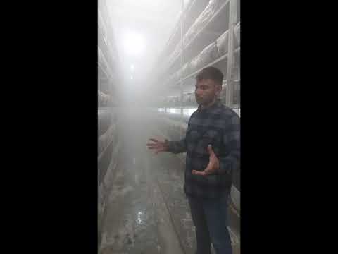 Увлажнение воздуха  в камерах выращивания шампиньонов Новосибирск.создание  микроклимата.4 сент