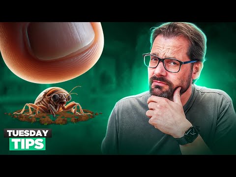 Everything You Need to Know about Debugging in VSCode