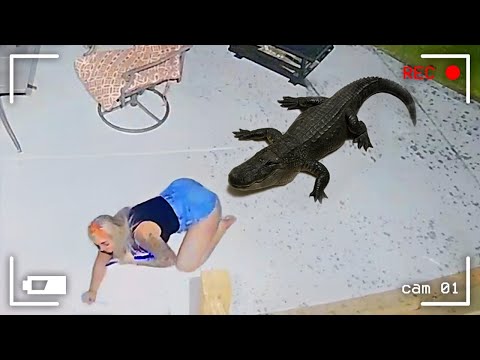 Wild Animals Invading Cities Caught on Camera! #8