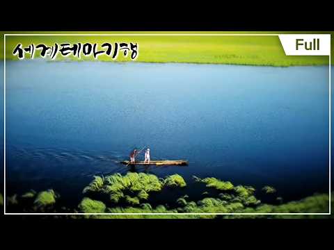 [Full] 세계테마기행 - 남아프리카 야생 대탐험 1부 ~ 4부