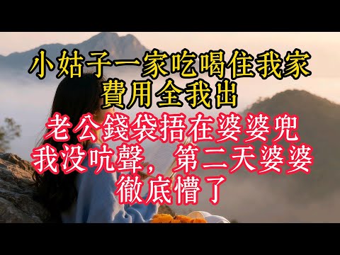 小姑子一家吃喝住我家，費用全我出，老公錢袋捂在婆婆口袋，我沒吭聲，第二天婆婆徹底懵了