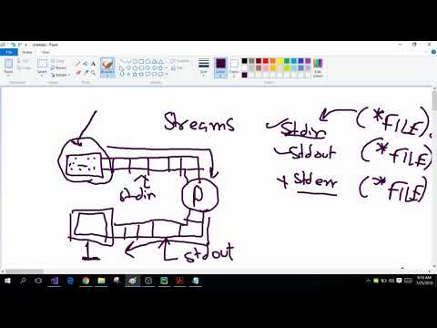 C Programming! (40) Streams