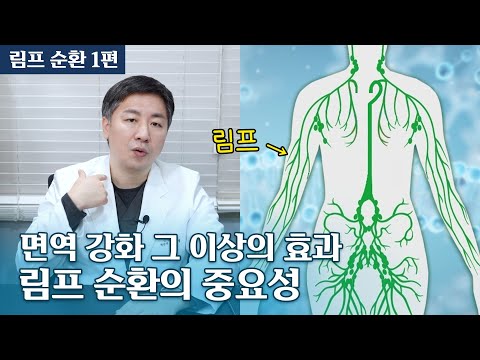 림프 순환의 중요성, 전신 노폐물 청소+감염 방지+암 예방 그 이상의 효과  / 림프 마사지 2024 ver. 업데이트 1편(이론)