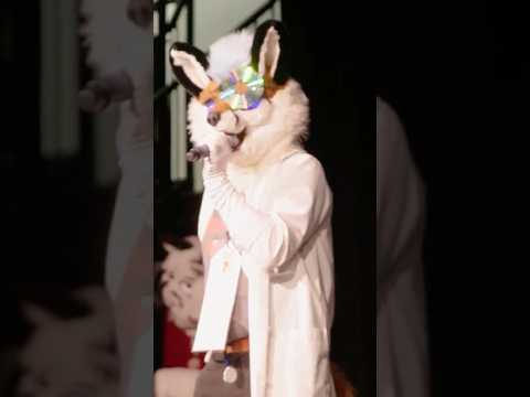 This is the biggest misconception about furries.