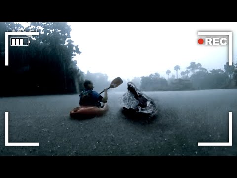 Kayaker's Final Moments When Crocodile Attacks Him Caught on Camera
