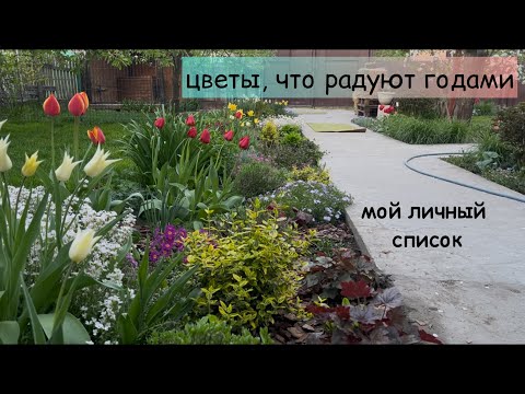 10 красивых и неприхотливых цветов для сада: мой личный список /Многолетники для души и красоты сада