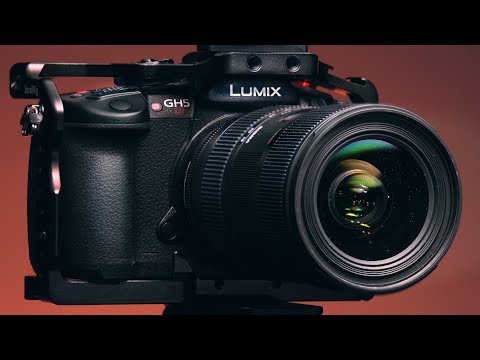 GH5s ISO: How High Can You Actually Go In Low Light?