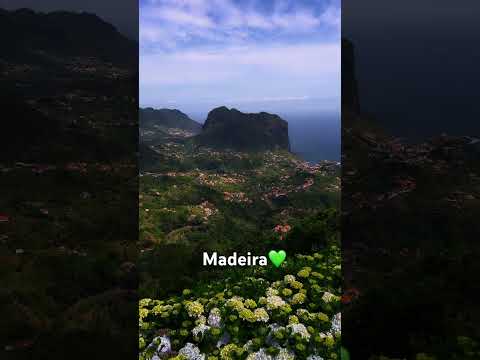 #madeira #portugal