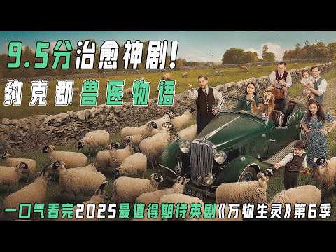 2025年《万物生灵》第六季一口气解说：专治各种emo，看兽医如何用爱与动物疗愈战后伤痕！从诊所混乱到家庭温暖，战后约克郡的哭笑治愈日记！