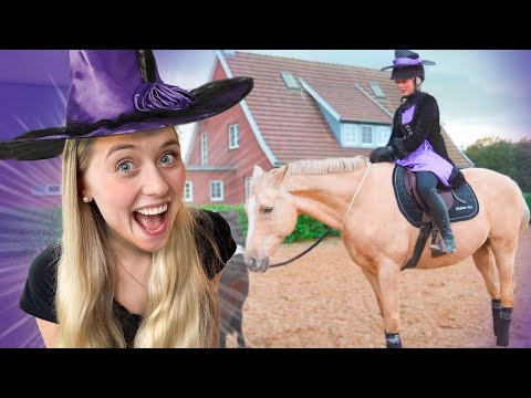 Ein Tag HALLOWEEN im STALL