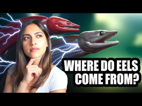 Shocking Mysteries That Remain UNSOLVED