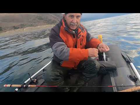 19 декабря 2025 г.