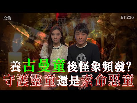 會員問答會員#46 | 靈異直播#236 | 養古曼童後怪象頻發？是守護靈童還是索命惡童？｜恐怖2.0｜真實靈異故事｜十點開播!｜梁思浩｜羅千揉｜世界鬼故事｜通靈之王｜超能力學院