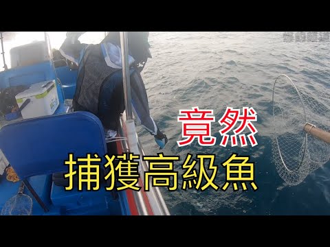 竟然捕獲高級魚