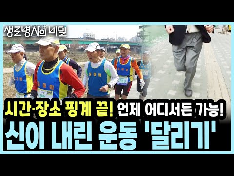 하버드 교수가 밝힌 충격적 사실! 우울증과 치매를 막고 싶다면 당장 '운동화'를 신어라 I KBS 20160427 방송